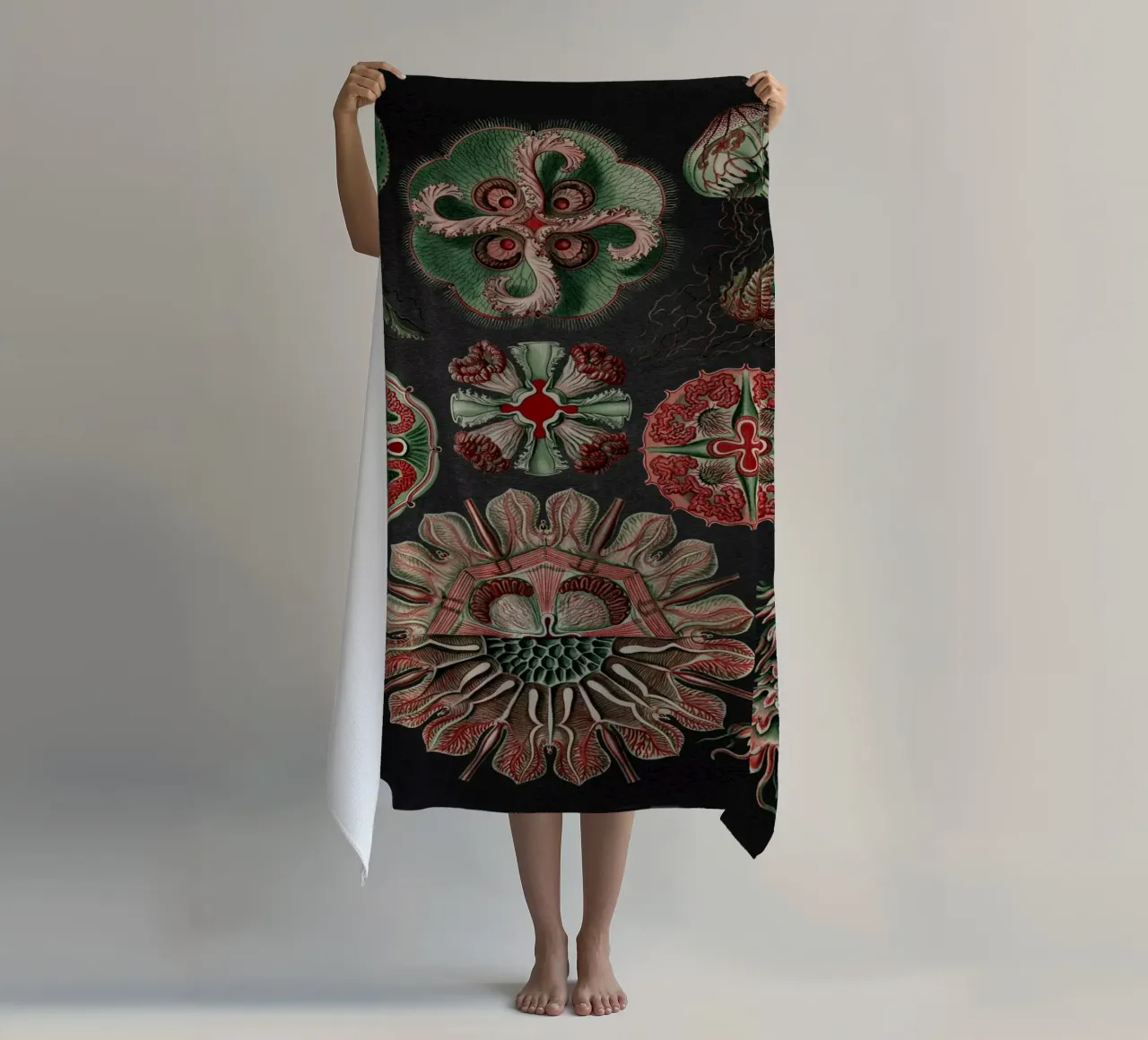 Vintage Haeckel 19 Tafel 98 Scheibenquallen beach towel by Vintage Print Collection