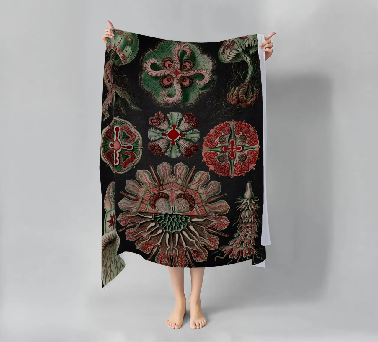 Vintage Haeckel 19 Tafel 98 Scheibenquallen beach towel by Vintage Print Collection