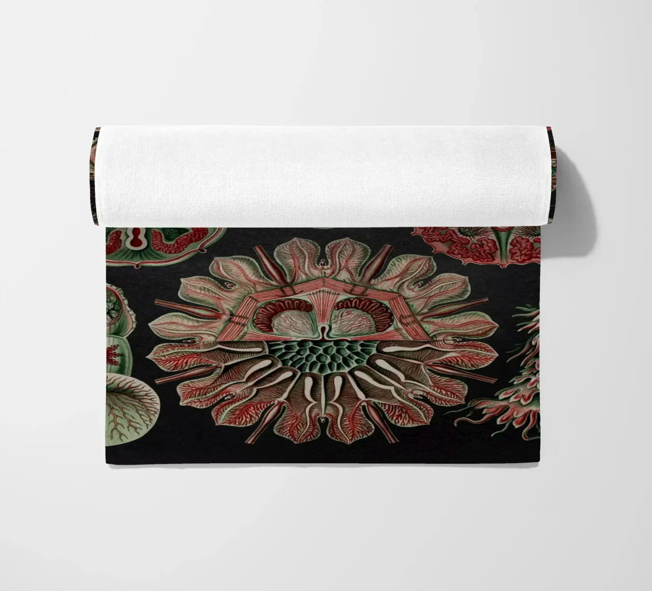 Vintage Haeckel 19 Tafel 98 Scheibenquallen beach towel by Vintage Print Collection