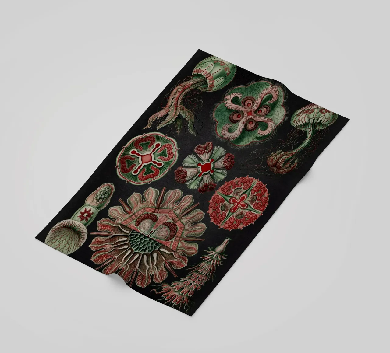 Vintage Haeckel 19 Tafel 98 Scheibenquallen beach towel by Vintage Print Collection