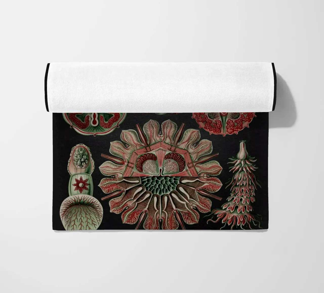 Vintage Haeckel 19 Tafel 98 Scheibenquallen beach towel by Vintage Print Collection