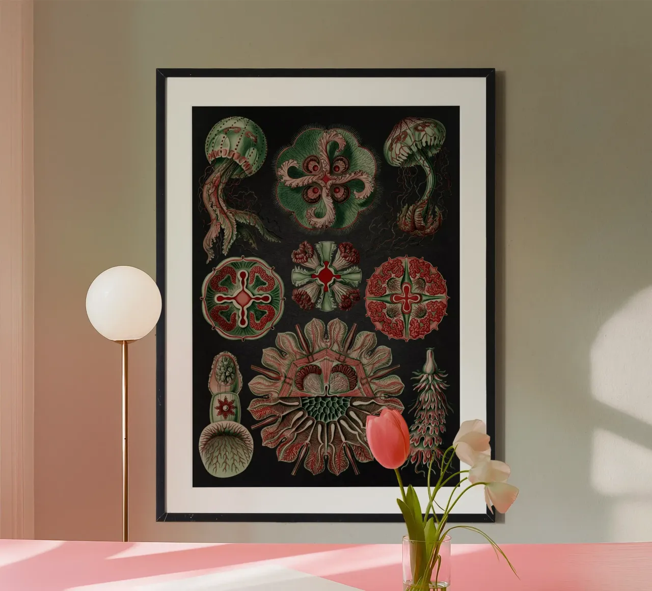 Vintage Haeckel 19 Tafel 98 Scheibenquallen hahnemühle by Vintage Print Collection