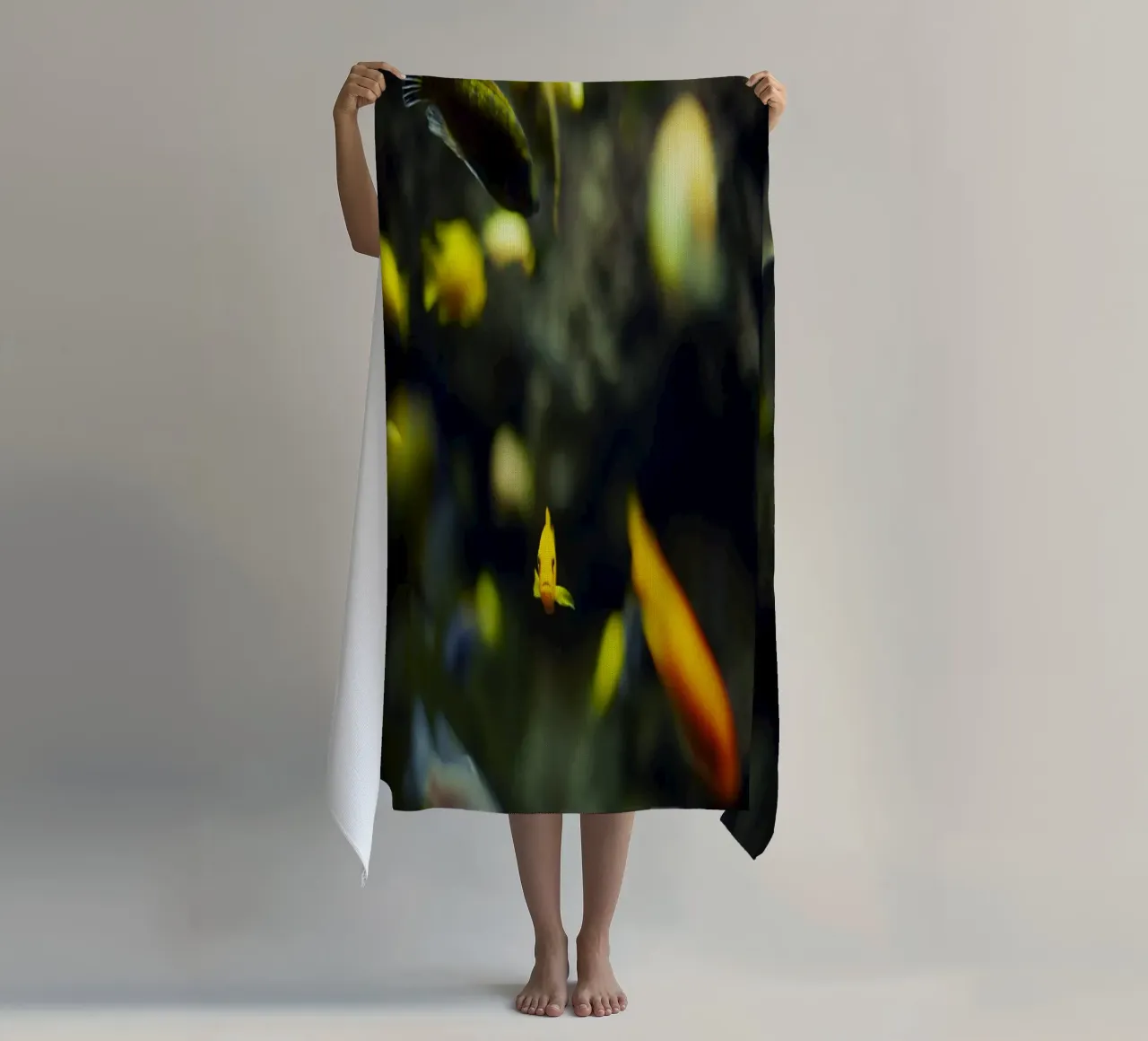 Pesci nell'acquario, Monaco, Baviera, Germania telo mare da fotokunst