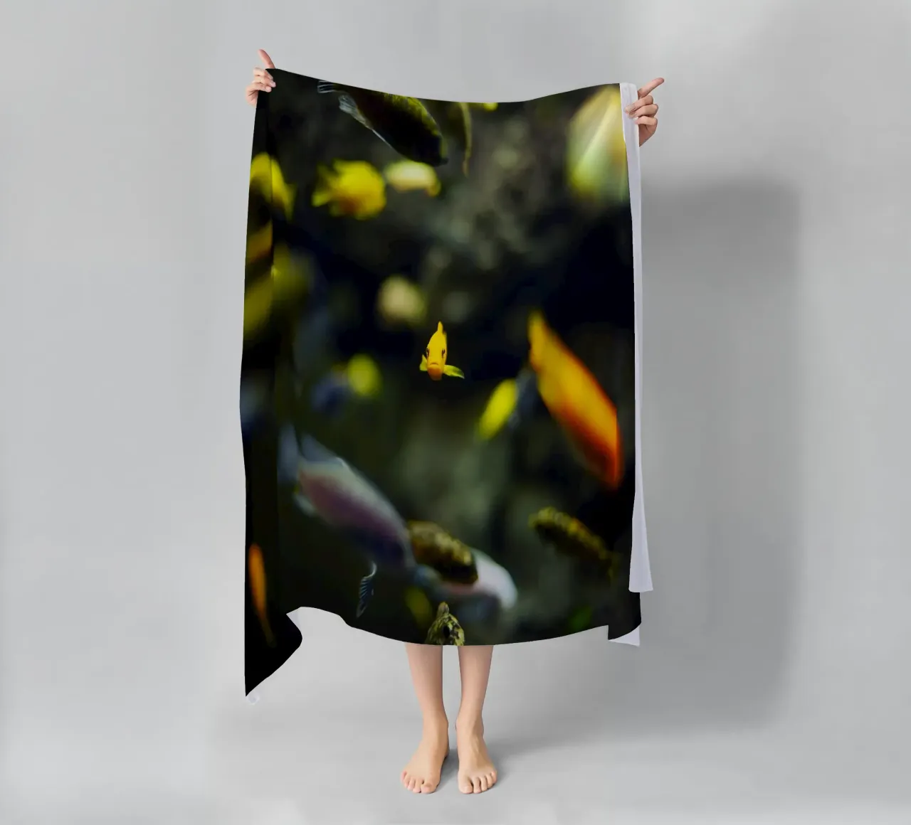 Pesci nell'acquario, Monaco, Baviera, Germania telo mare da fotokunst