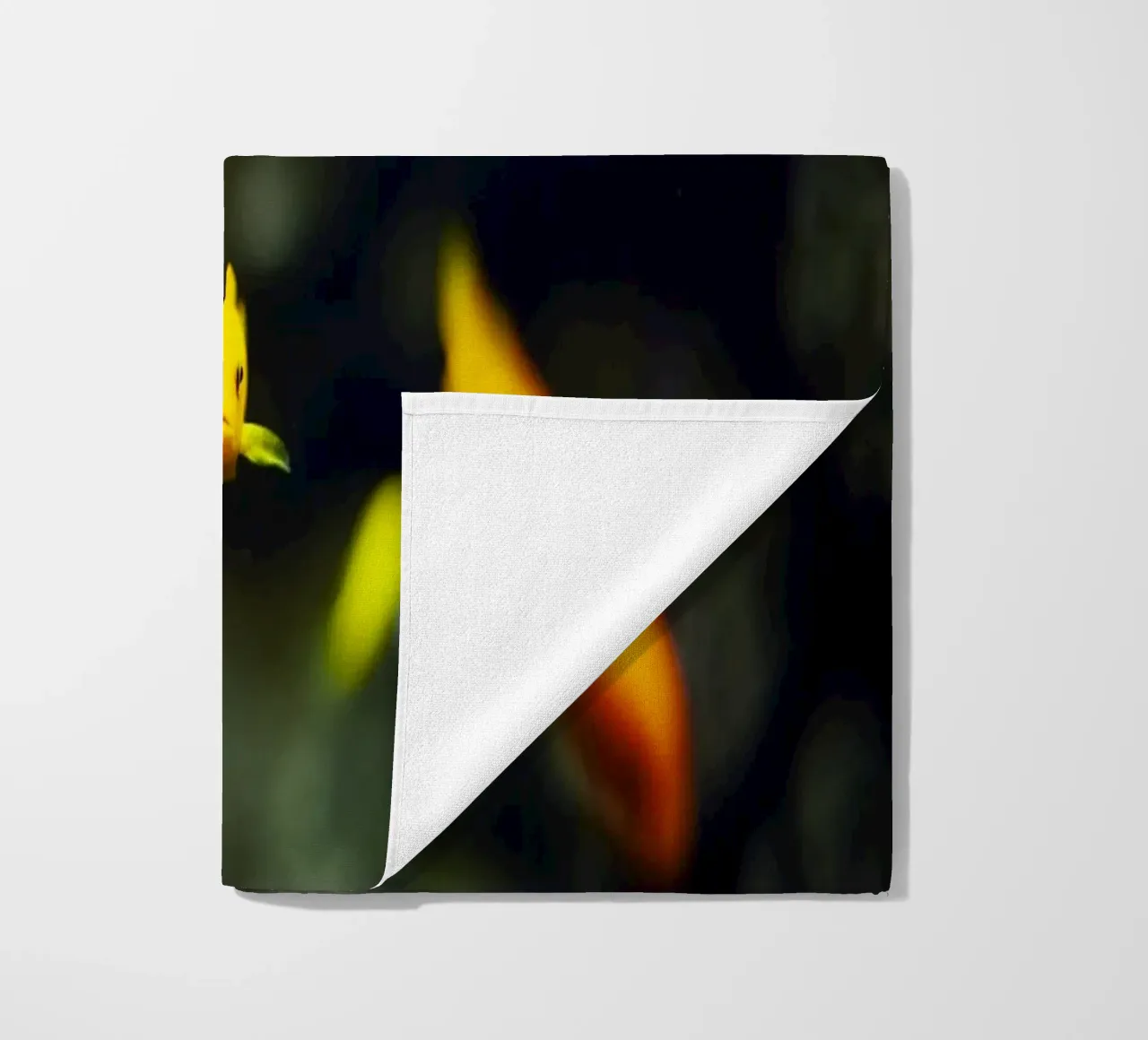 Pesci nell'acquario, Monaco, Baviera, Germania telo mare da fotokunst