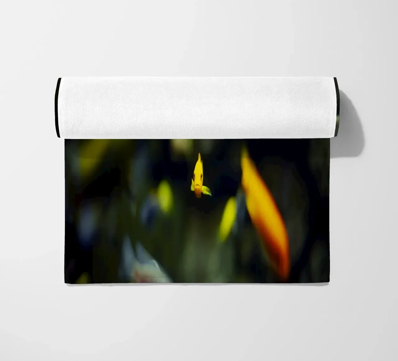 Pesci nell'acquario, Monaco, Baviera, Germania telo mare da fotokunst