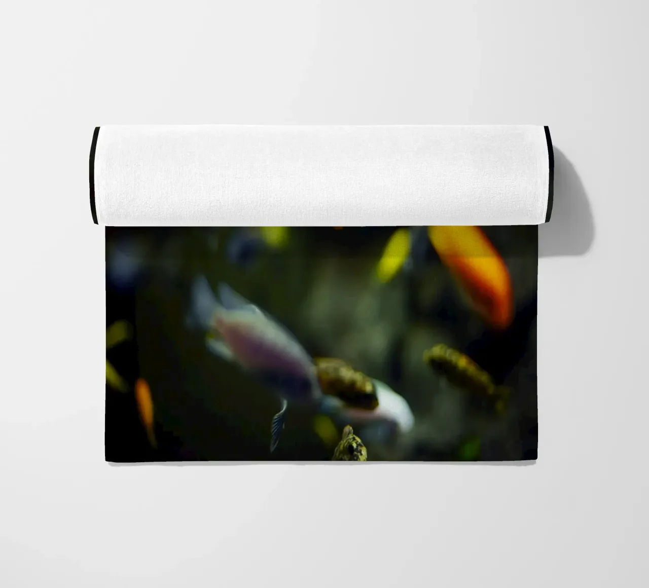 Pesci nell'acquario, Monaco, Baviera, Germania telo mare da fotokunst