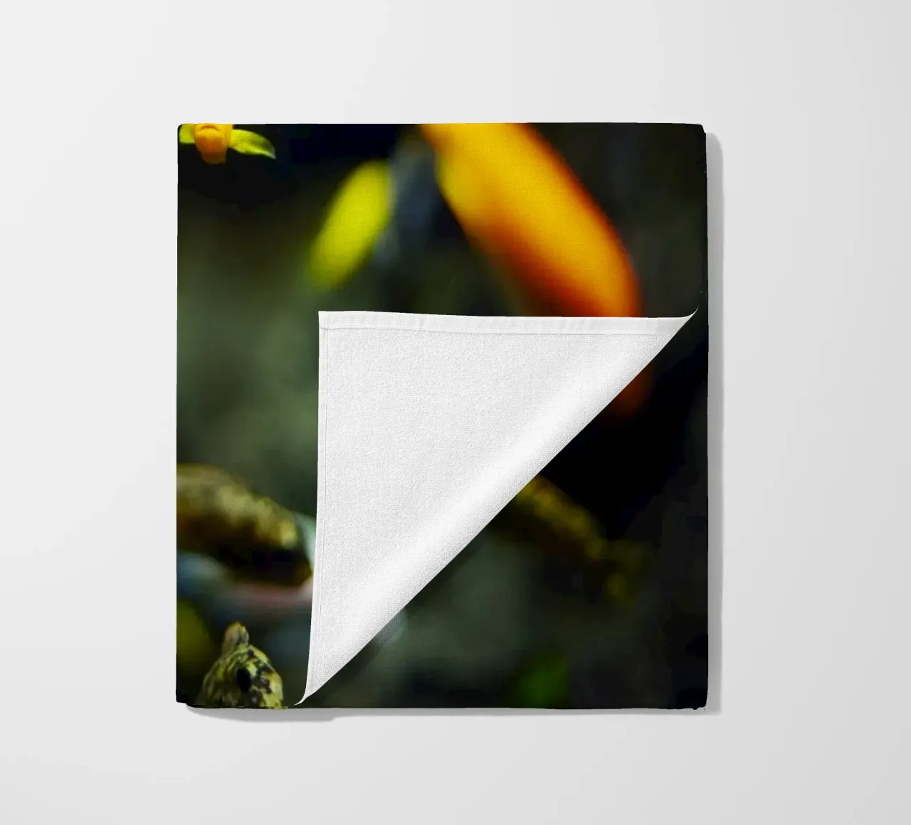 Pesci nell'acquario, Monaco, Baviera, Germania telo mare da fotokunst