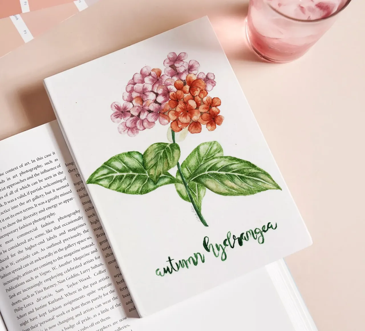 autumn hydrangea notebook by Nathys_illustration