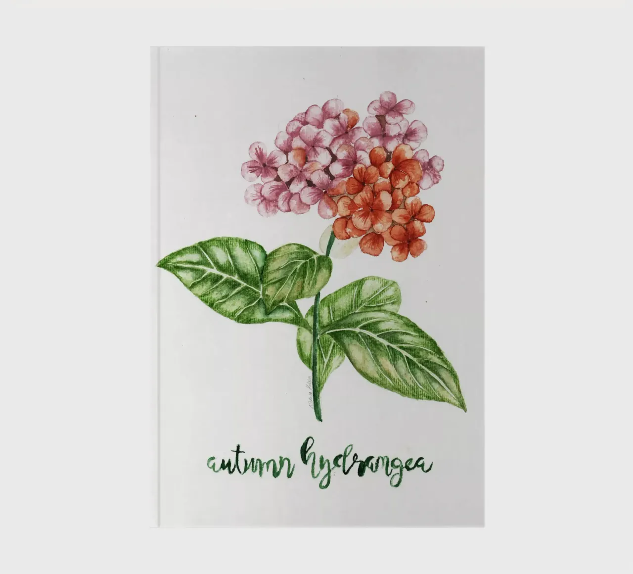 autumn hydrangea notebook by Nathys_illustration