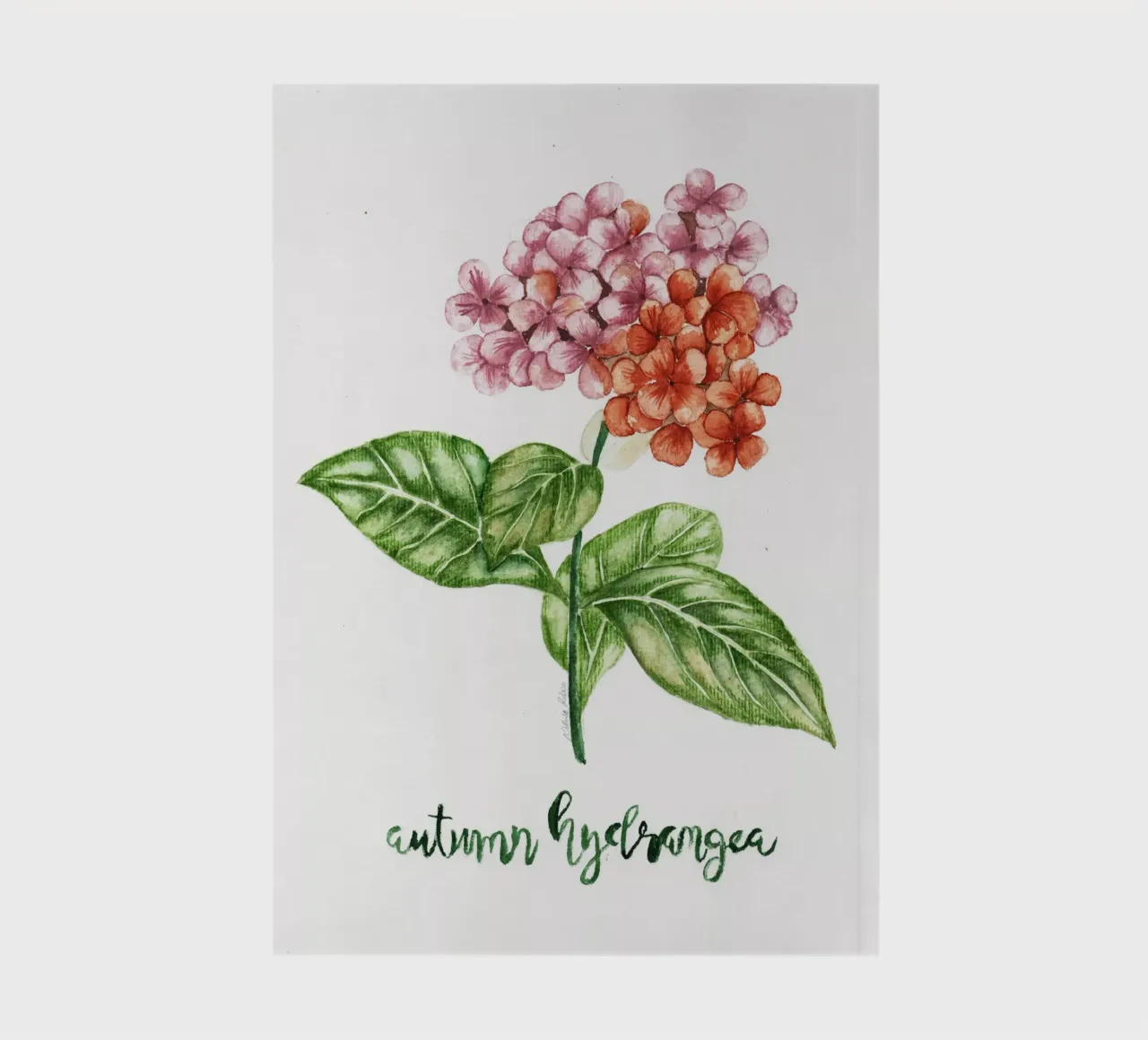 autumn hydrangea notebook by Nathys_illustration