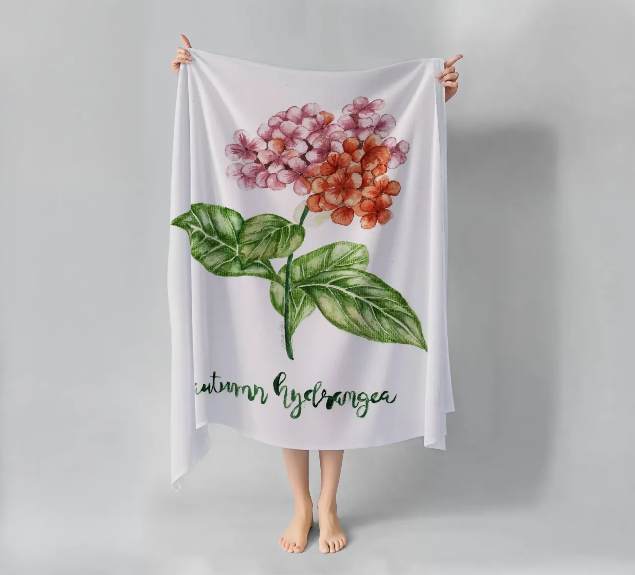 autumn hydrangea telo mare da Nathys_illustration