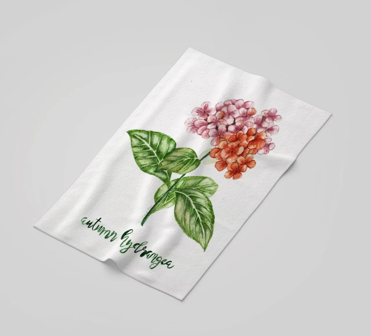 autumn hydrangea telo mare da Nathys_illustration