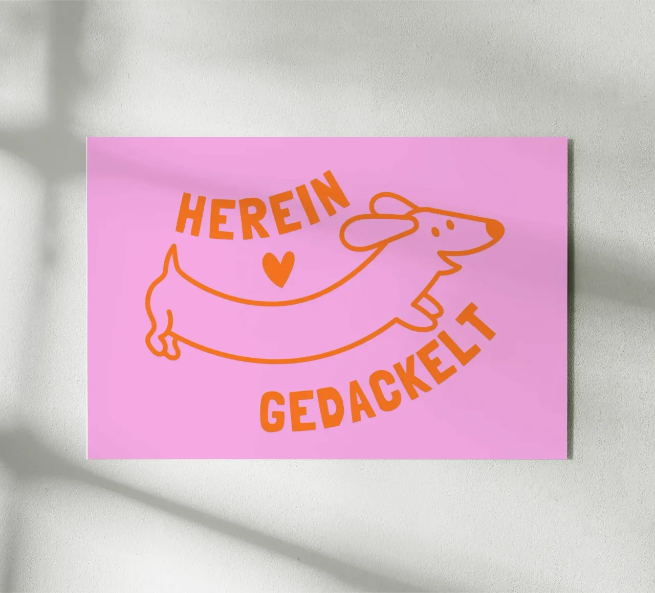 Hereingedackelt - viele Farben plexiglass da Ohkimiko