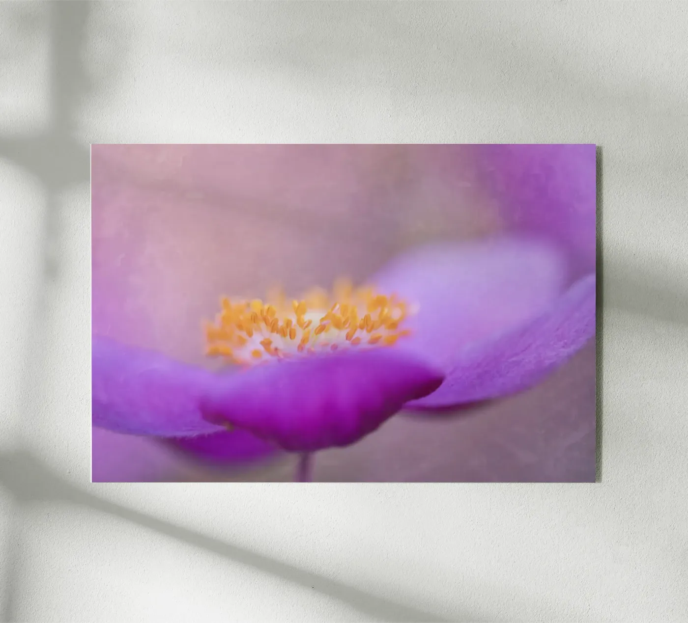 grace plexiglas de Visuelle Poesie am Wegesrand