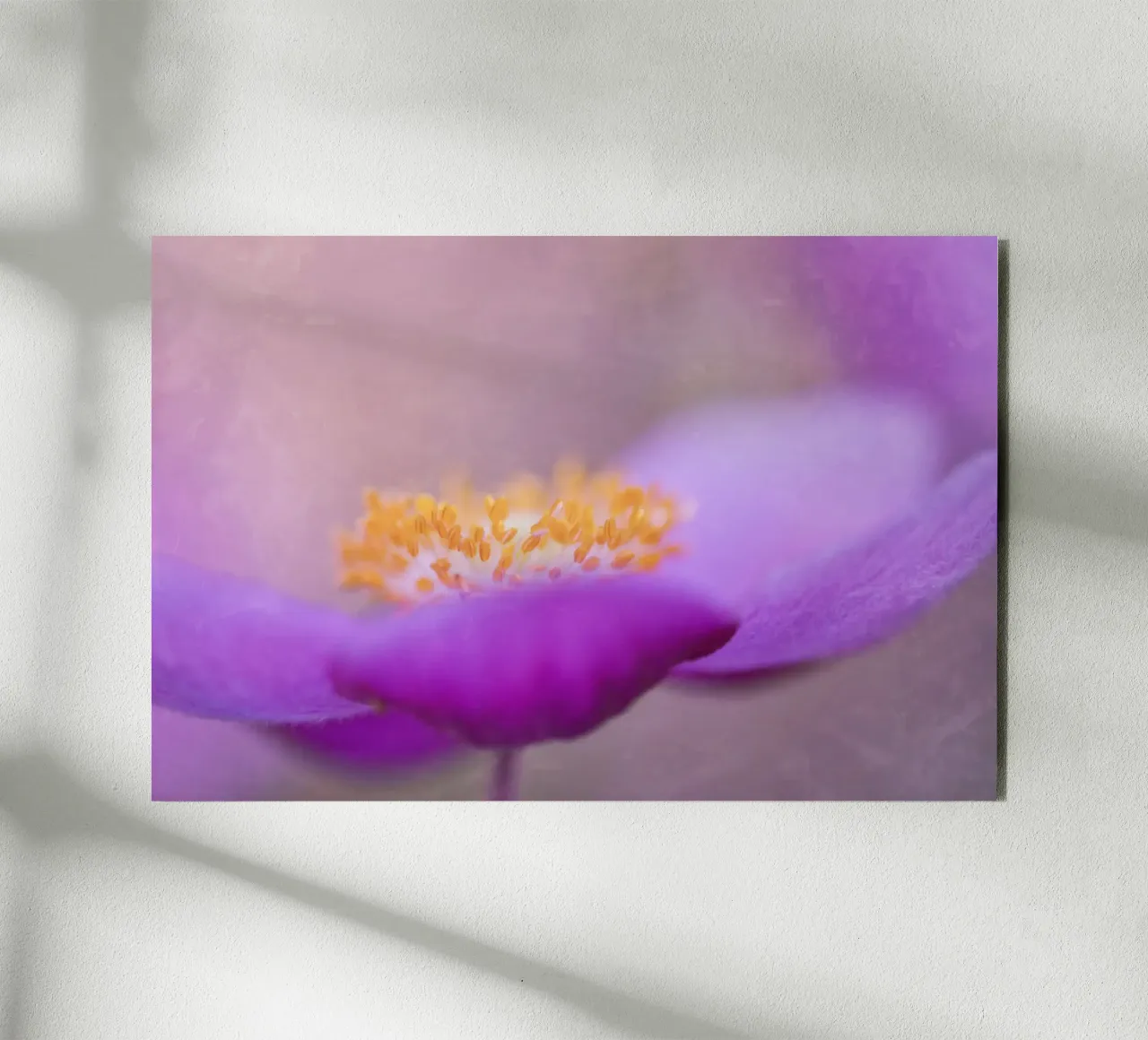 grace alluminio dibond da Visuelle Poesie am Wegesrand