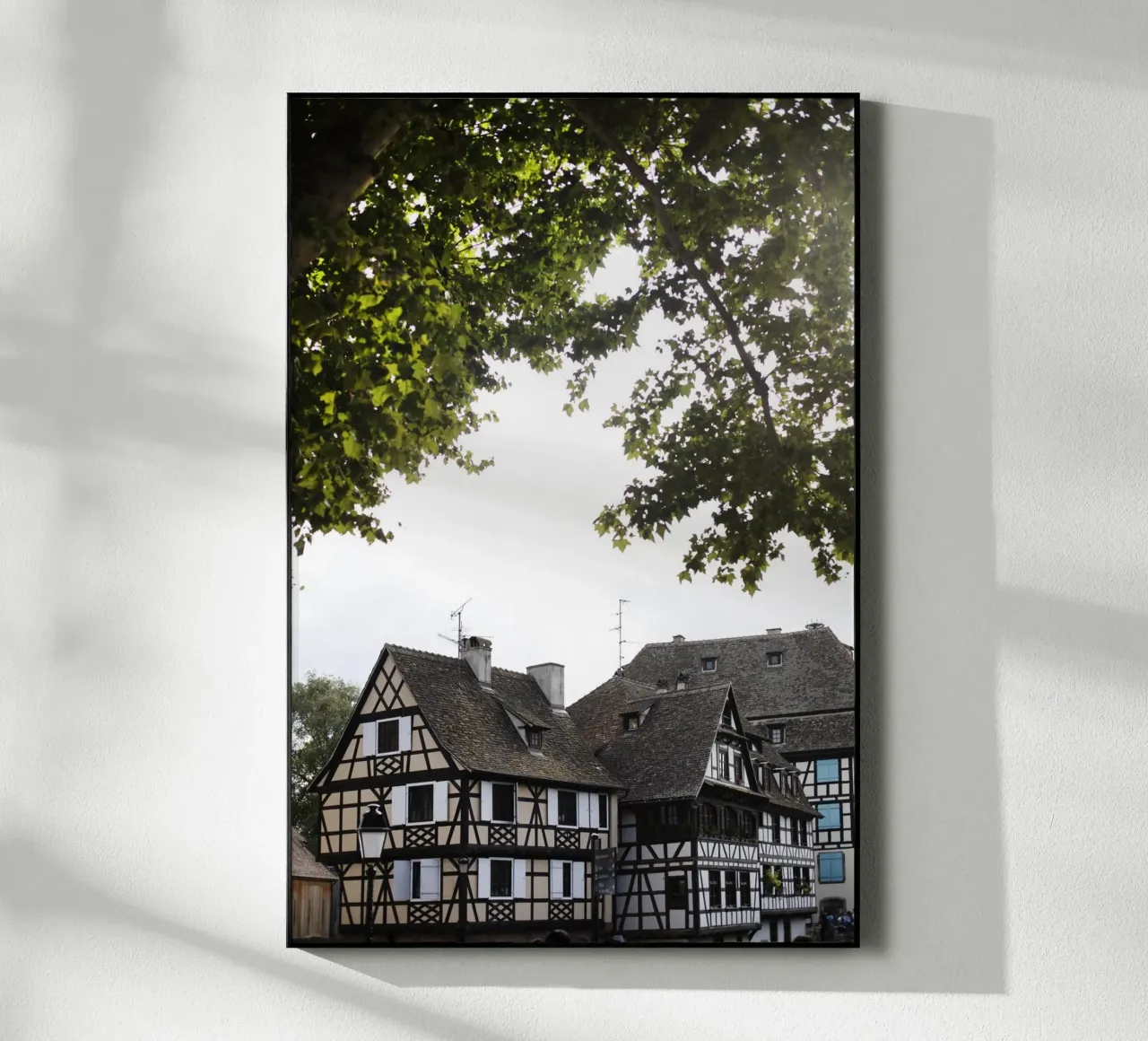 Case a graticcio a Strasburgo (Francia) plexiglass da Simon Koy