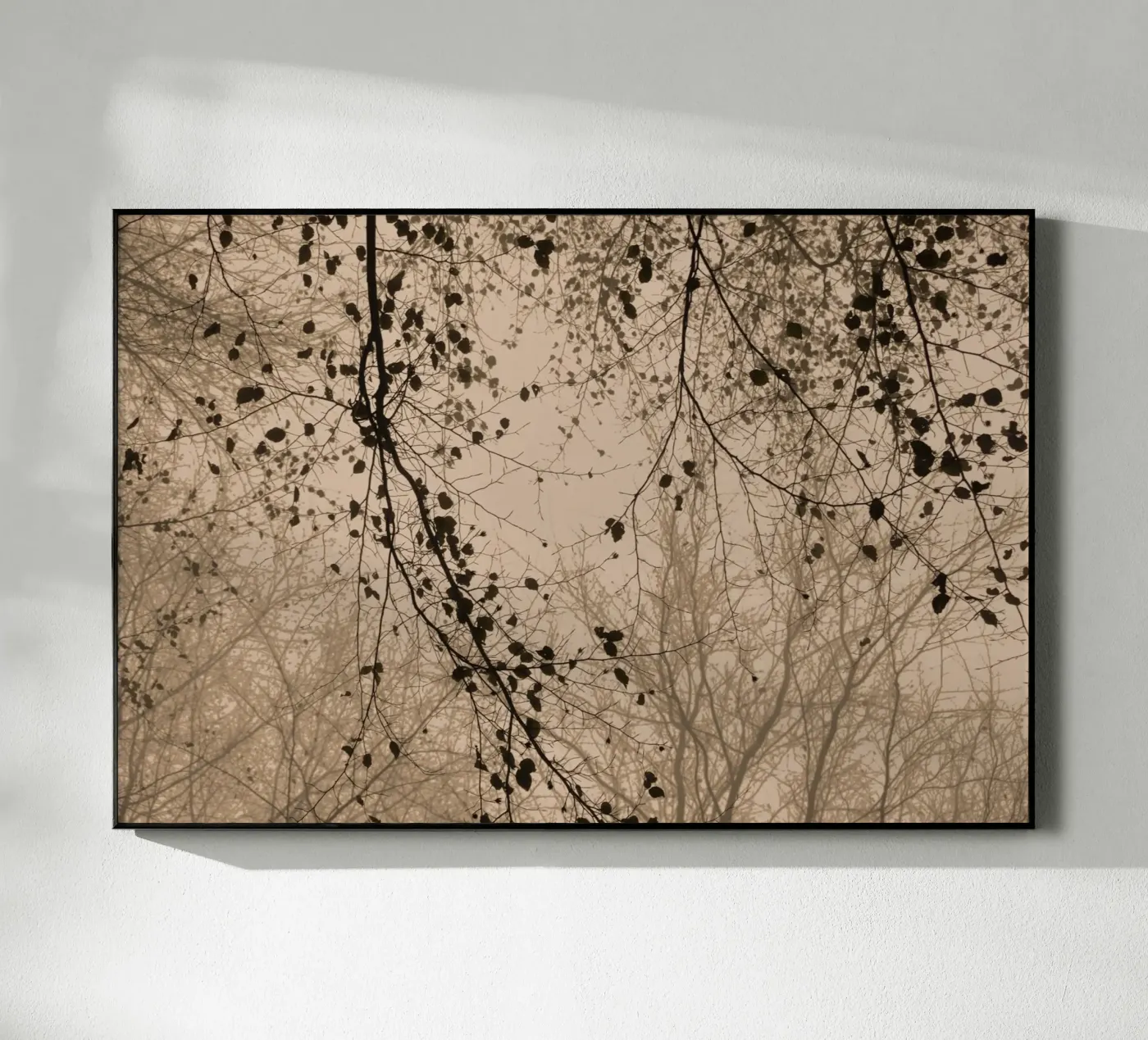 silhouettes beige brown plexiglass da Visuelle Poesie am Wegesrand