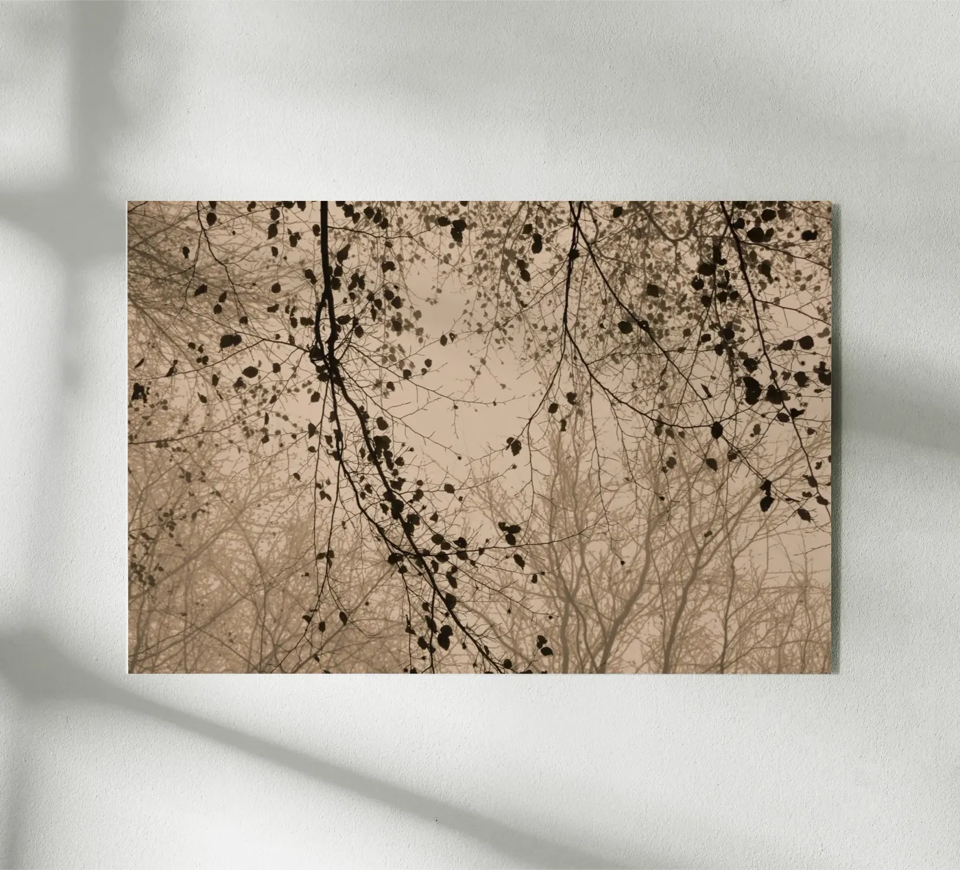 silhouettes beige brown plexiglass da Visuelle Poesie am Wegesrand