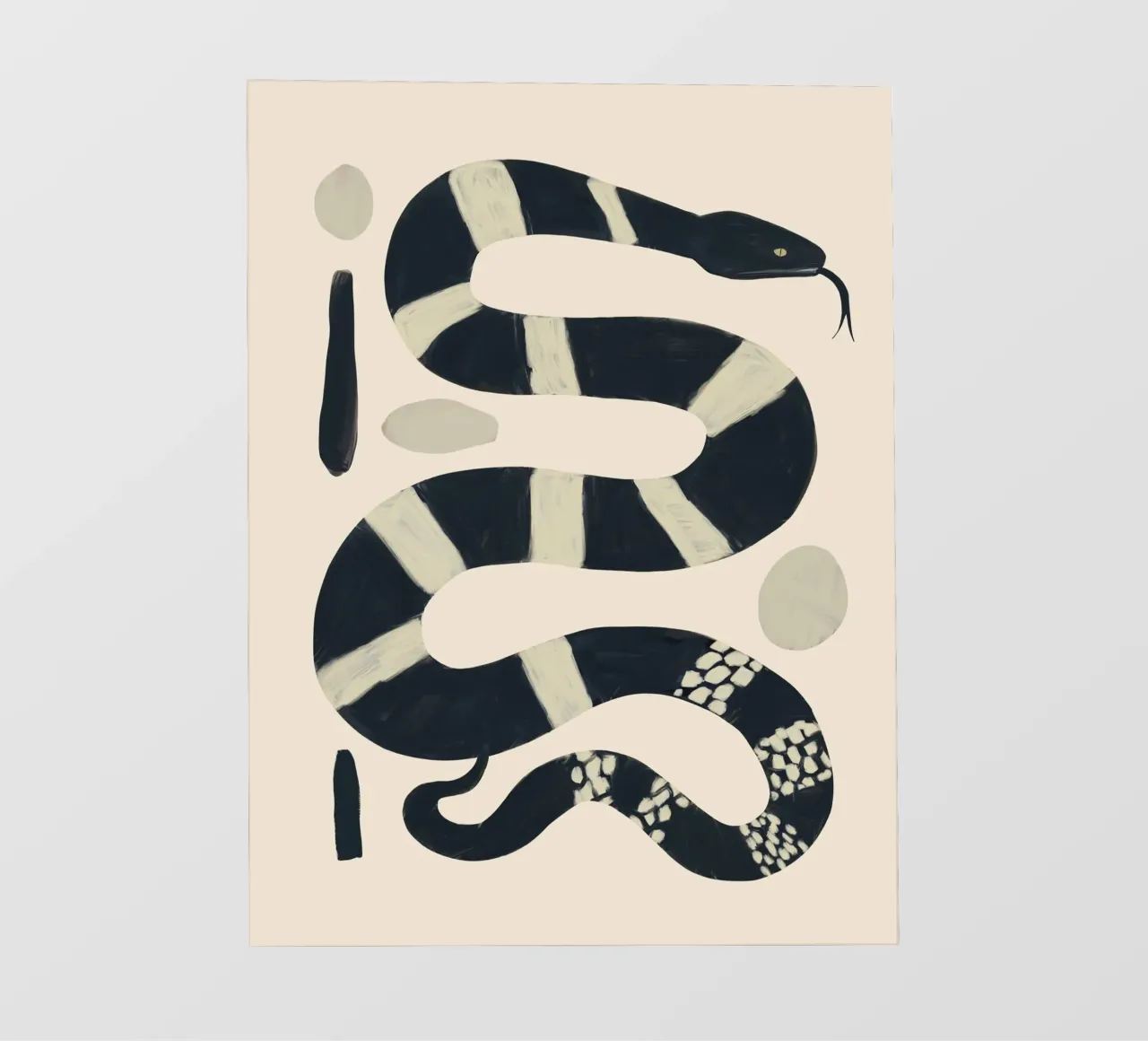 Serpente bianco e nero pellicola backlit da ThingDesign