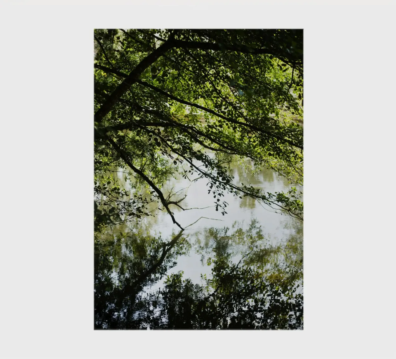 Fluss in Borgogna - Franche Comté diario da Simon Koy