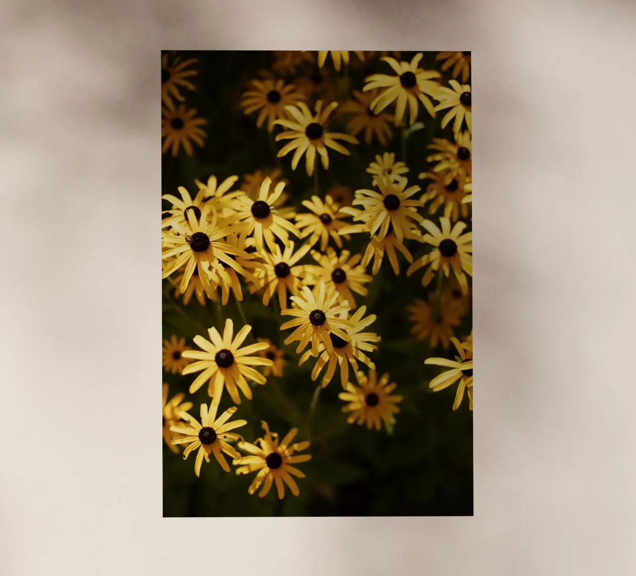 Blumen in Bourgogne - Franche Comté pellicola backlit da Simon Koy