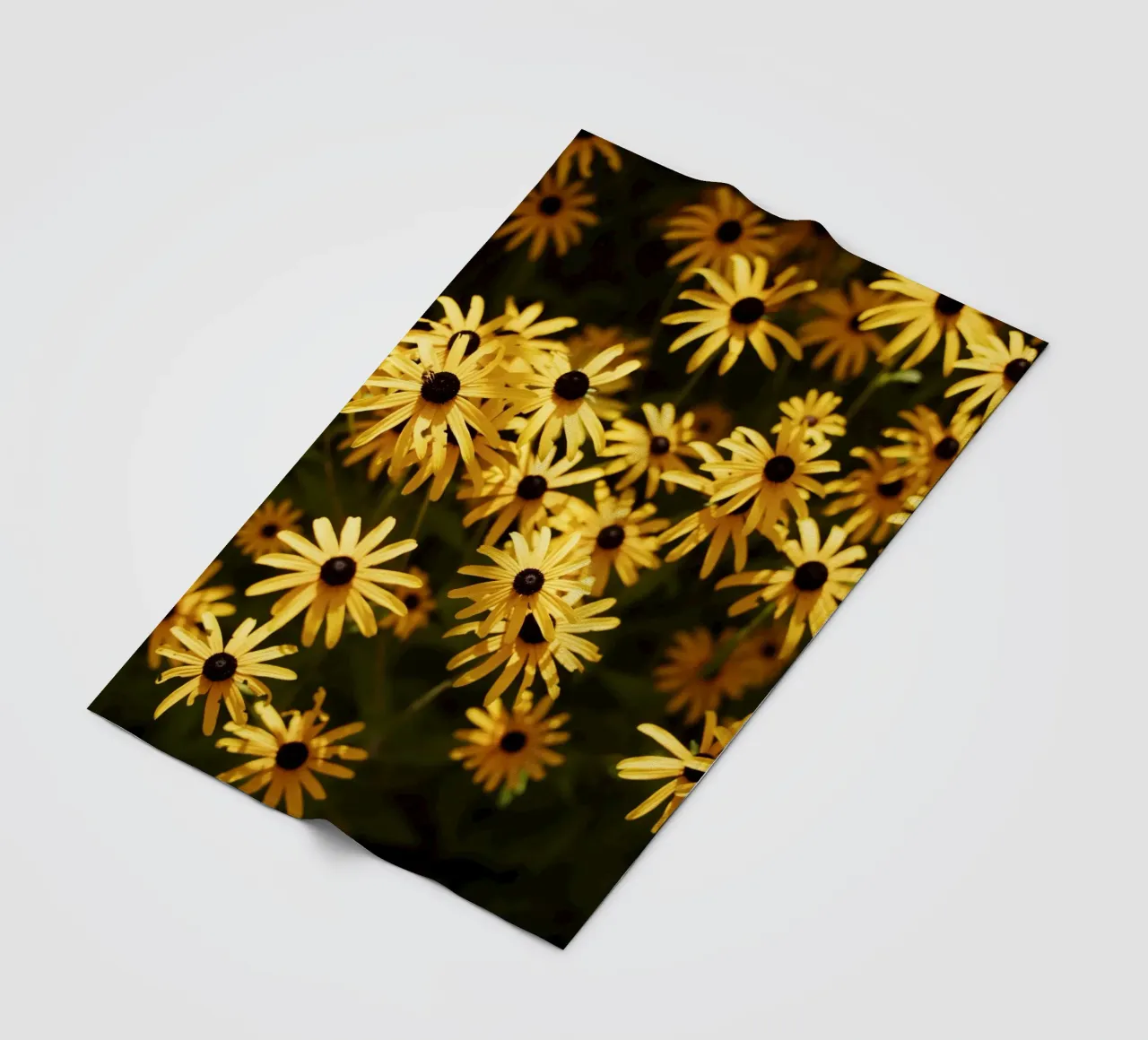 Blumen in Bourgogne - Franche Comté coperta in pile da Simon Koy