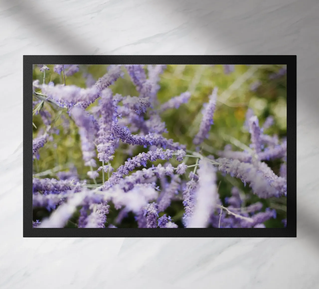 Borgogna - Franche Comté zerbino da fotokunst