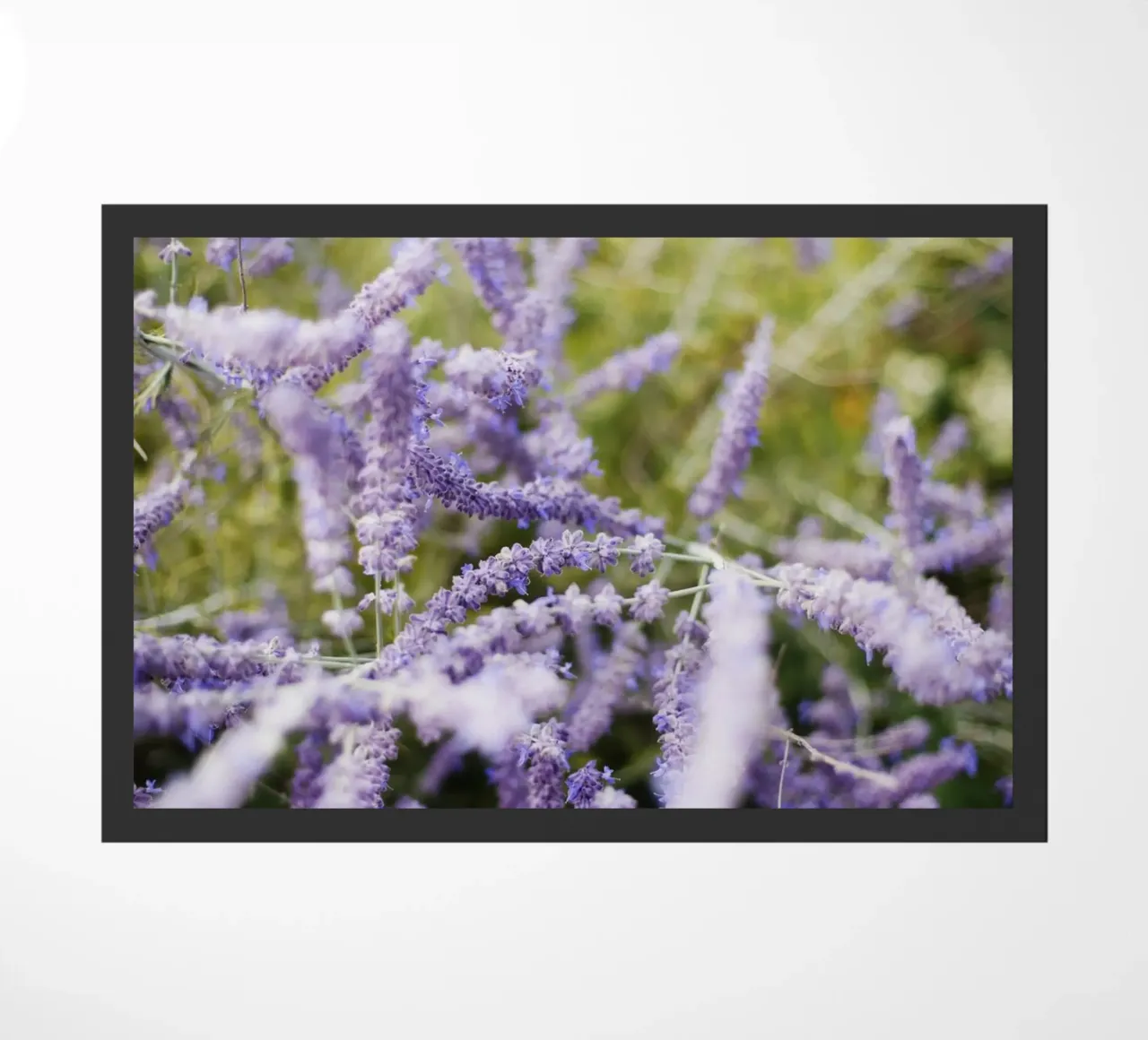 Borgogna - Franche Comté zerbino da fotokunst