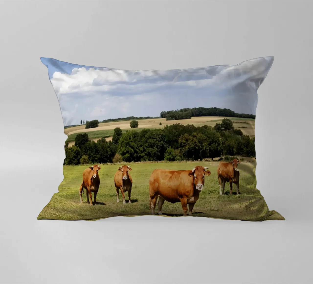 kühe in Bourgogne - Franche Comté cuscino da Simon Koy