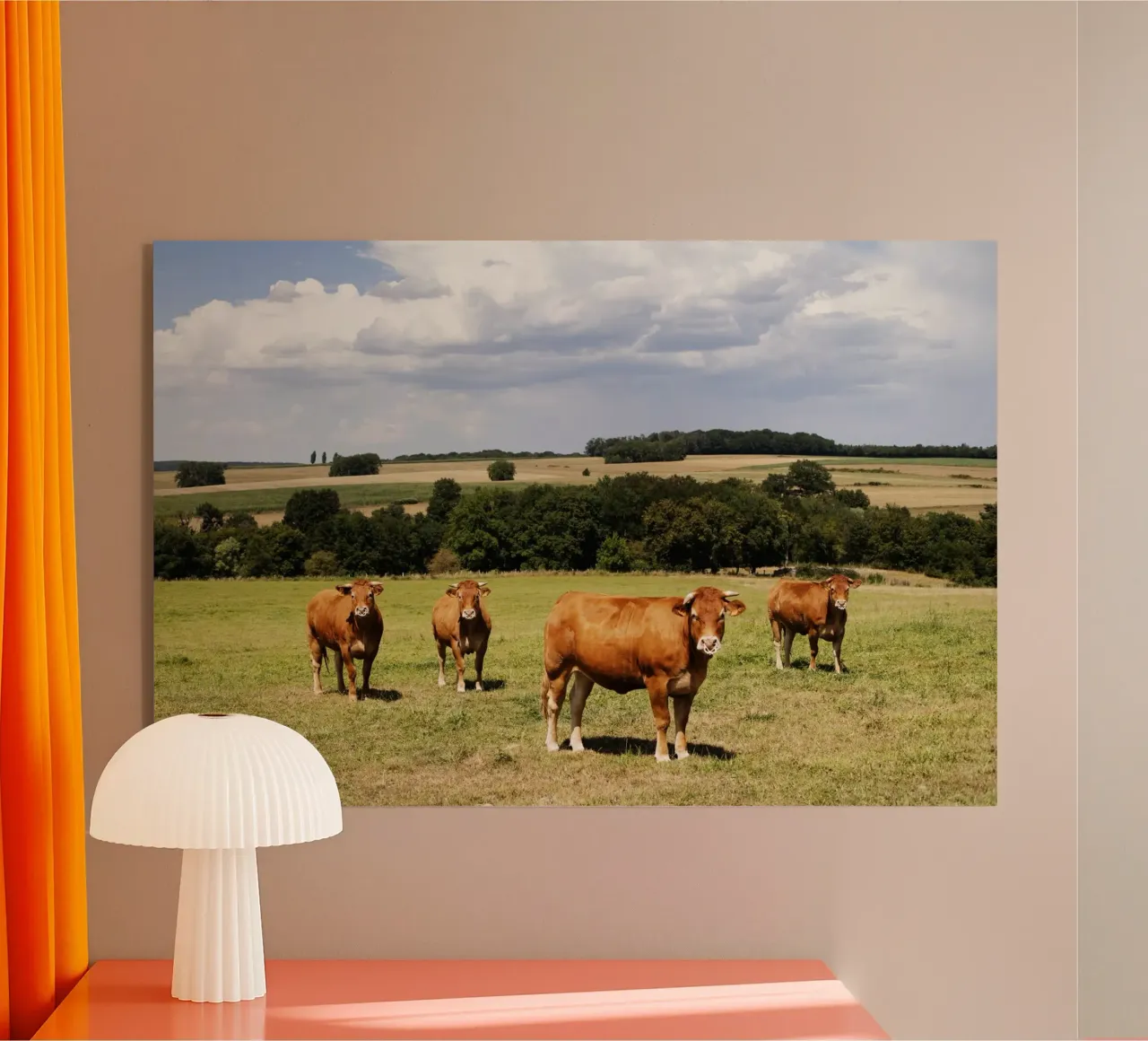kühe in Bourgogne - Franche Comté plexiglass da Simon Koy