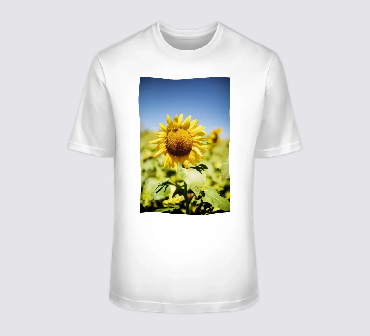 Sonnenblume in Bourgogne - Franche Comté, Frankreich t-shirt da Simon Koy
