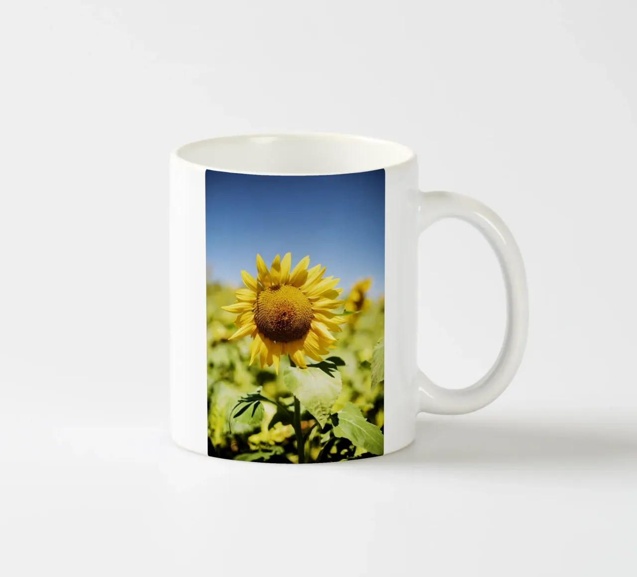Sonnenblume in Bourgogne - Franche Comté, Frankreich tazza in ceramica da Simon Koy