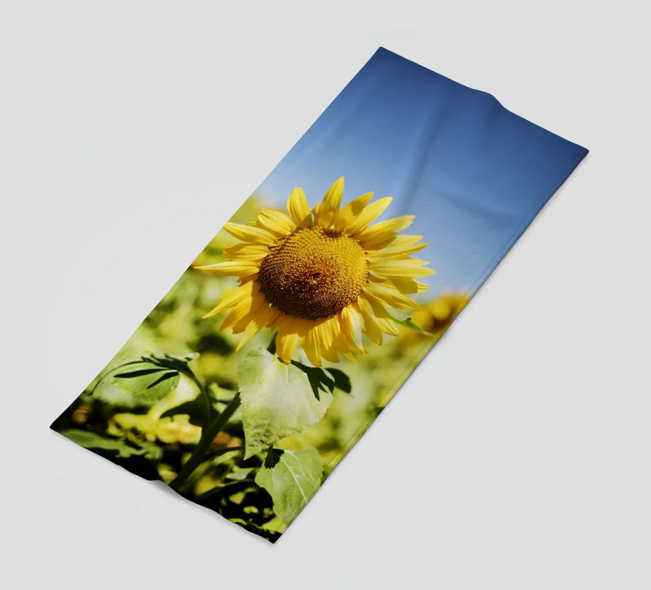 Sonnenblume in Bourgogne - Franche Comté, Frankreich telo mare da Simon Koy