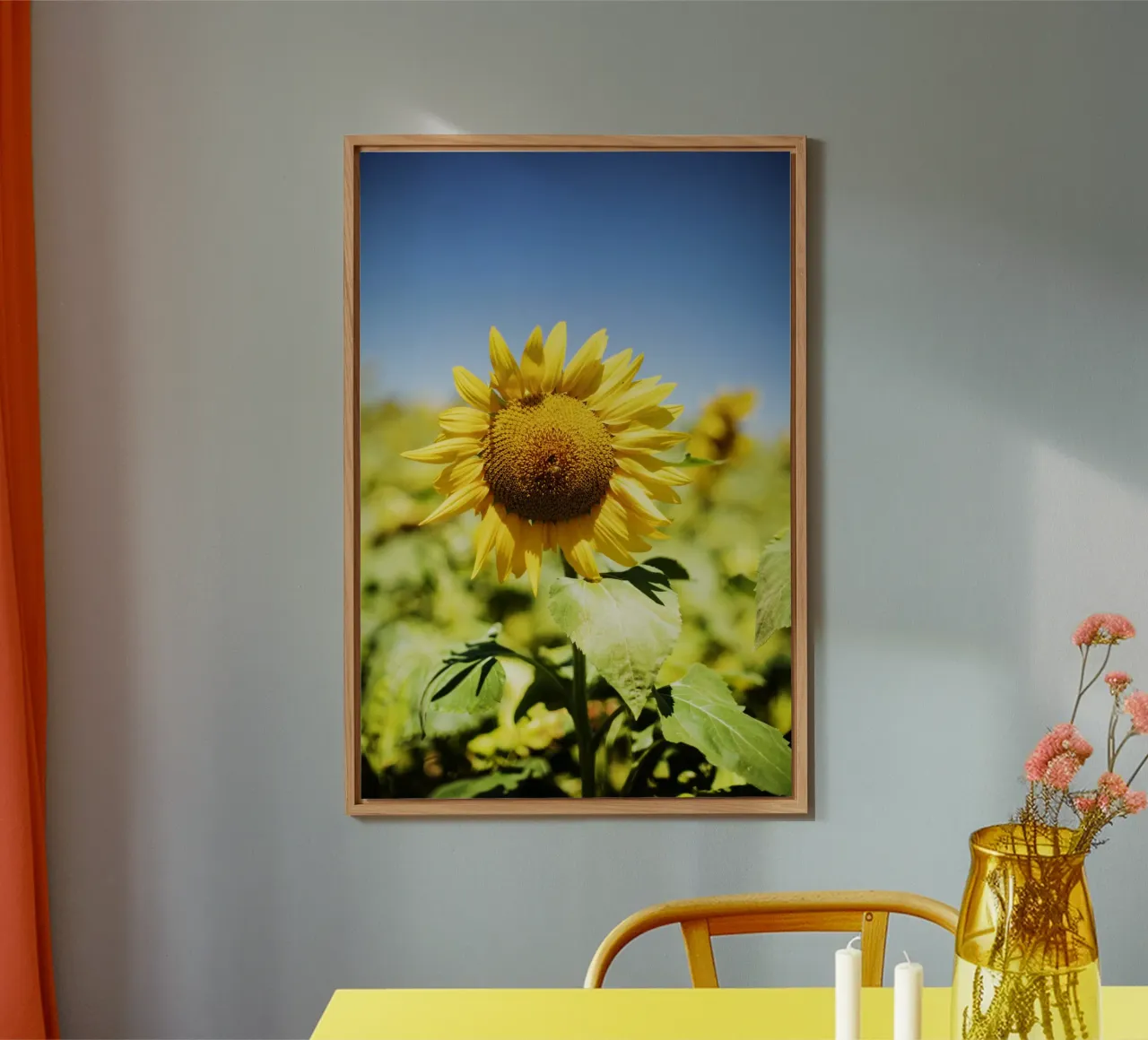 Sonnenblume in Bourgogne - Franche Comté, Frankreich alluminio dibond da Simon Koy