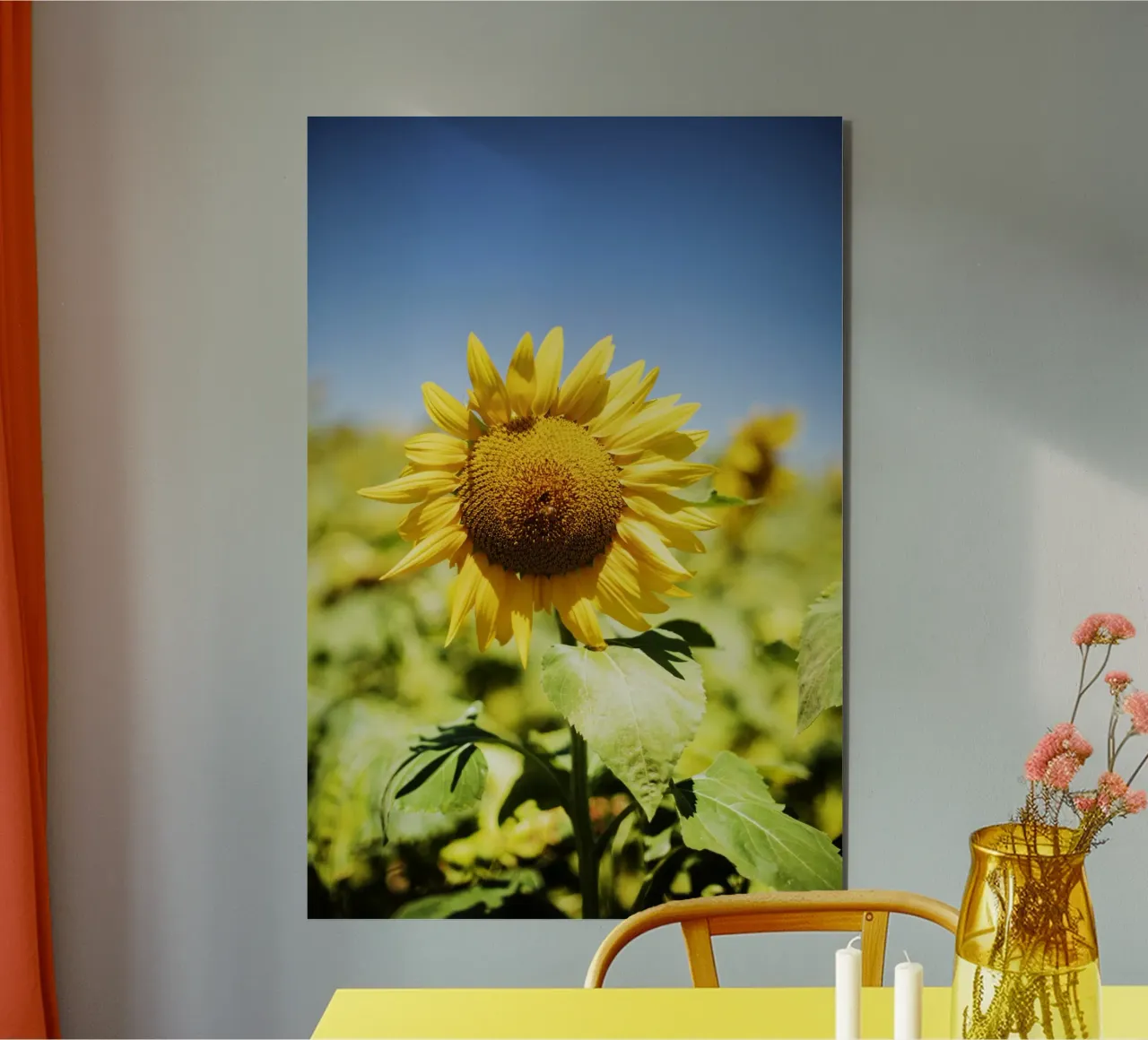 Sonnenblume in Bourgogne - Franche Comté, Frankreich alluminio dibond da Simon Koy