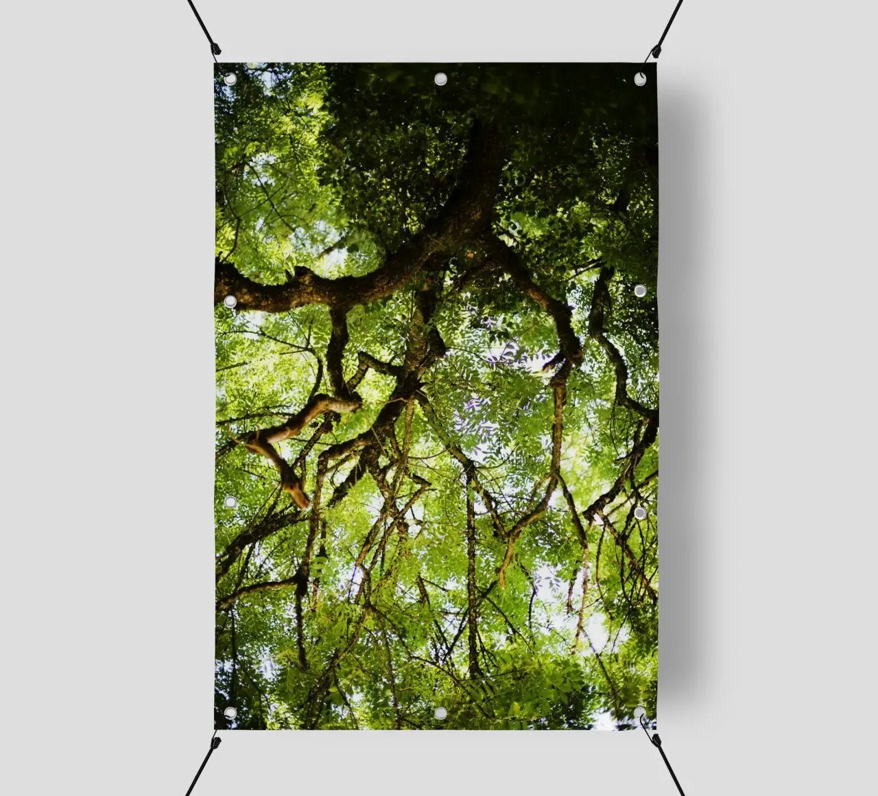 Baum in Bourgogne - Franche Comté, Frankreich telo in pvc da Simon Koy