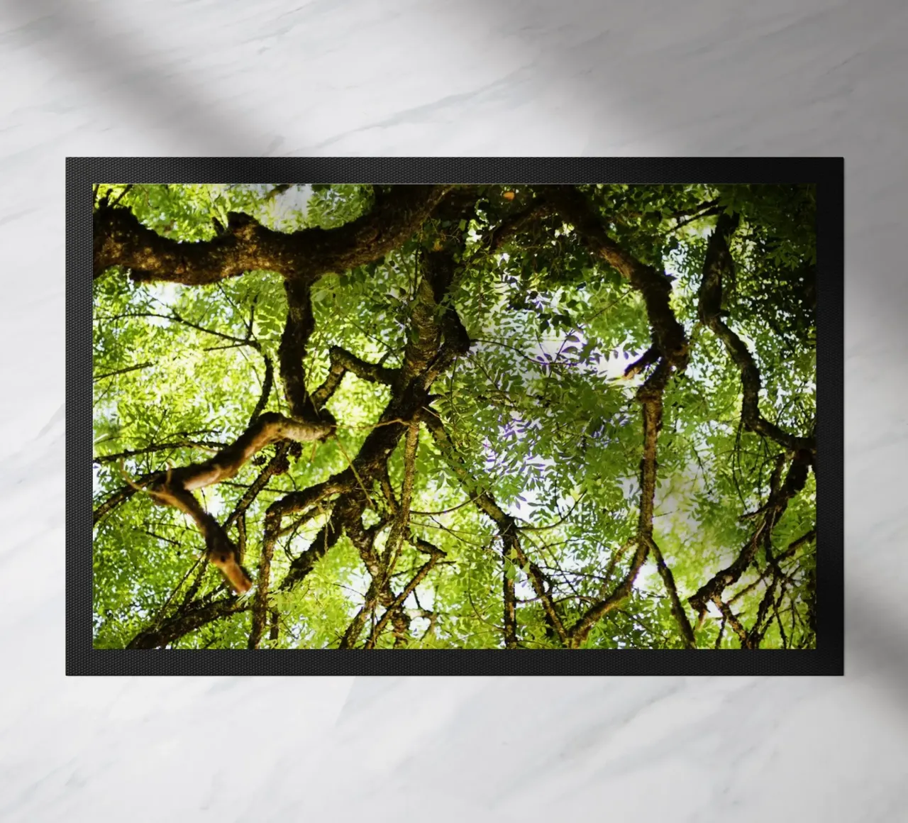 Baum in Bourgogne - Franche Comté, Frankreich zerbino da Simon Koy