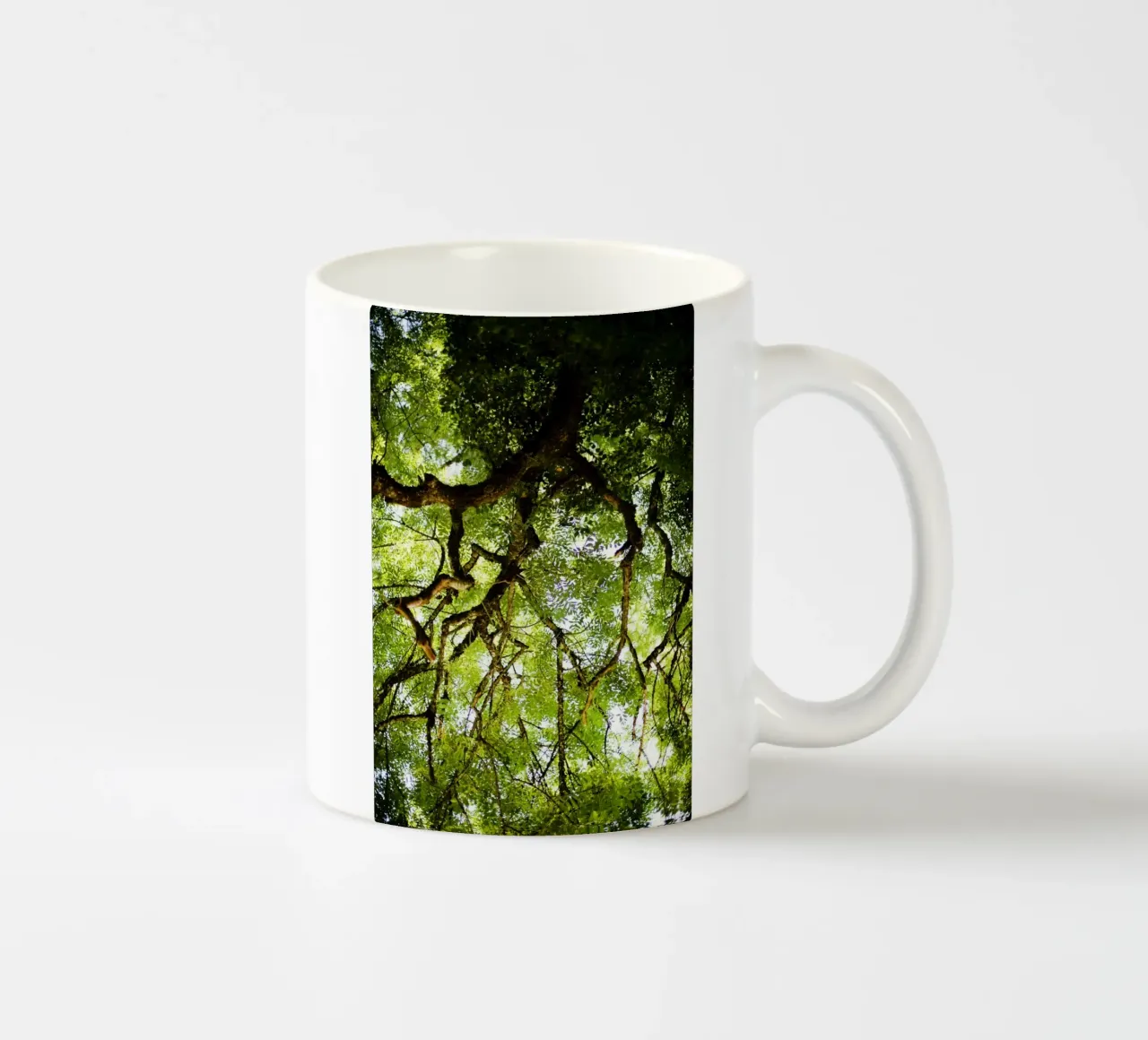 Baum in Bourgogne - Franche Comté, Frankreich tazza in ceramica da Simon Koy