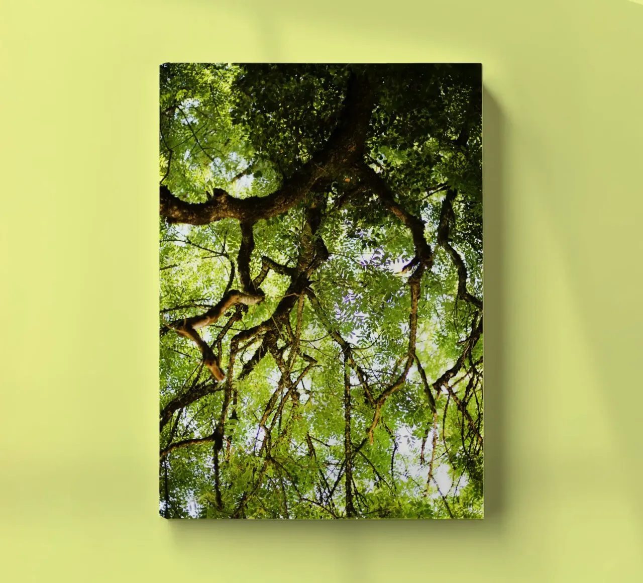 Baum in Bourgogne - Franche Comté, Frankreich notebook by Simon Koy