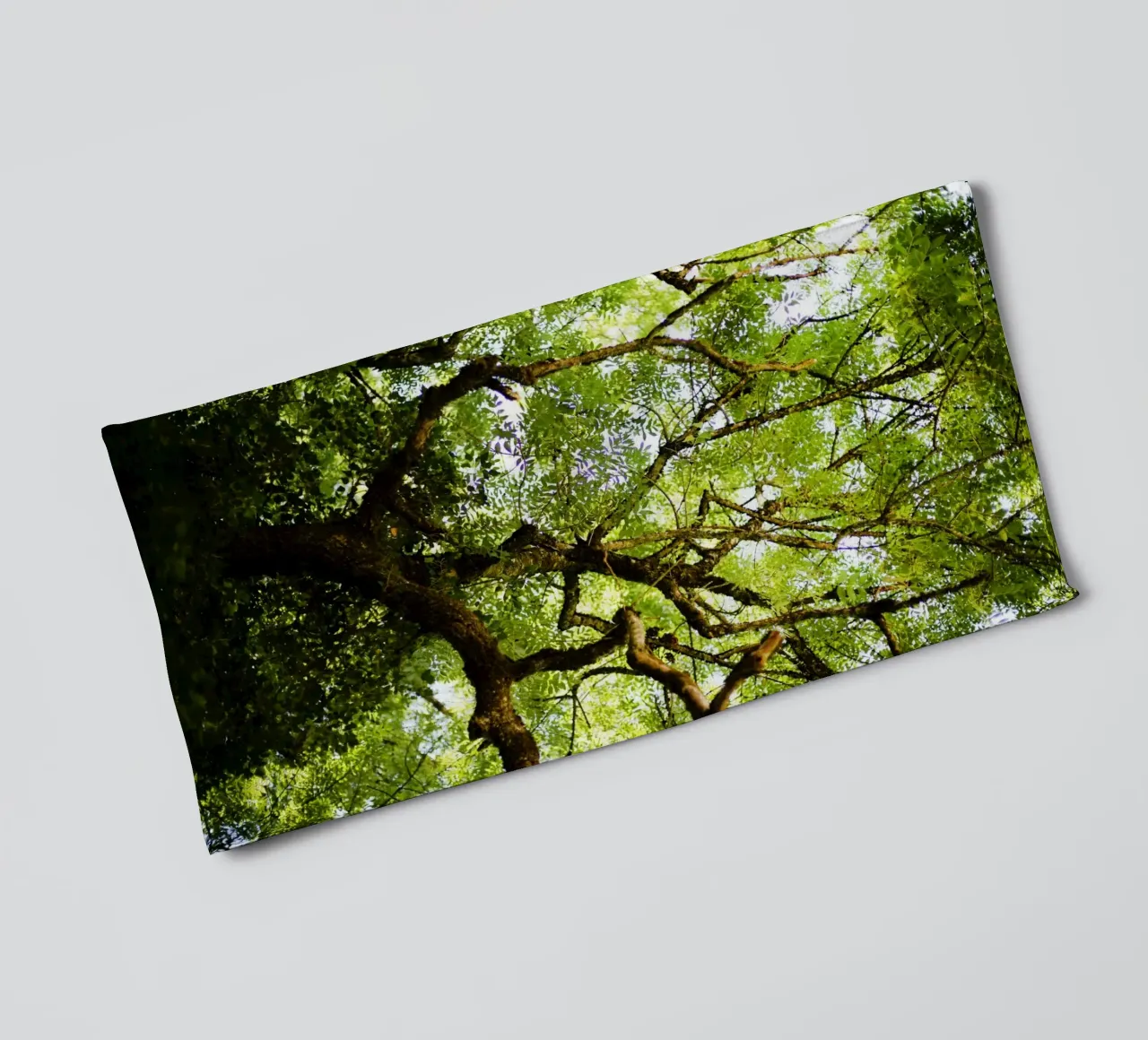 Baum in Bourgogne - Franche Comté, Frankreich asciugamano da bagno da Simon Koy