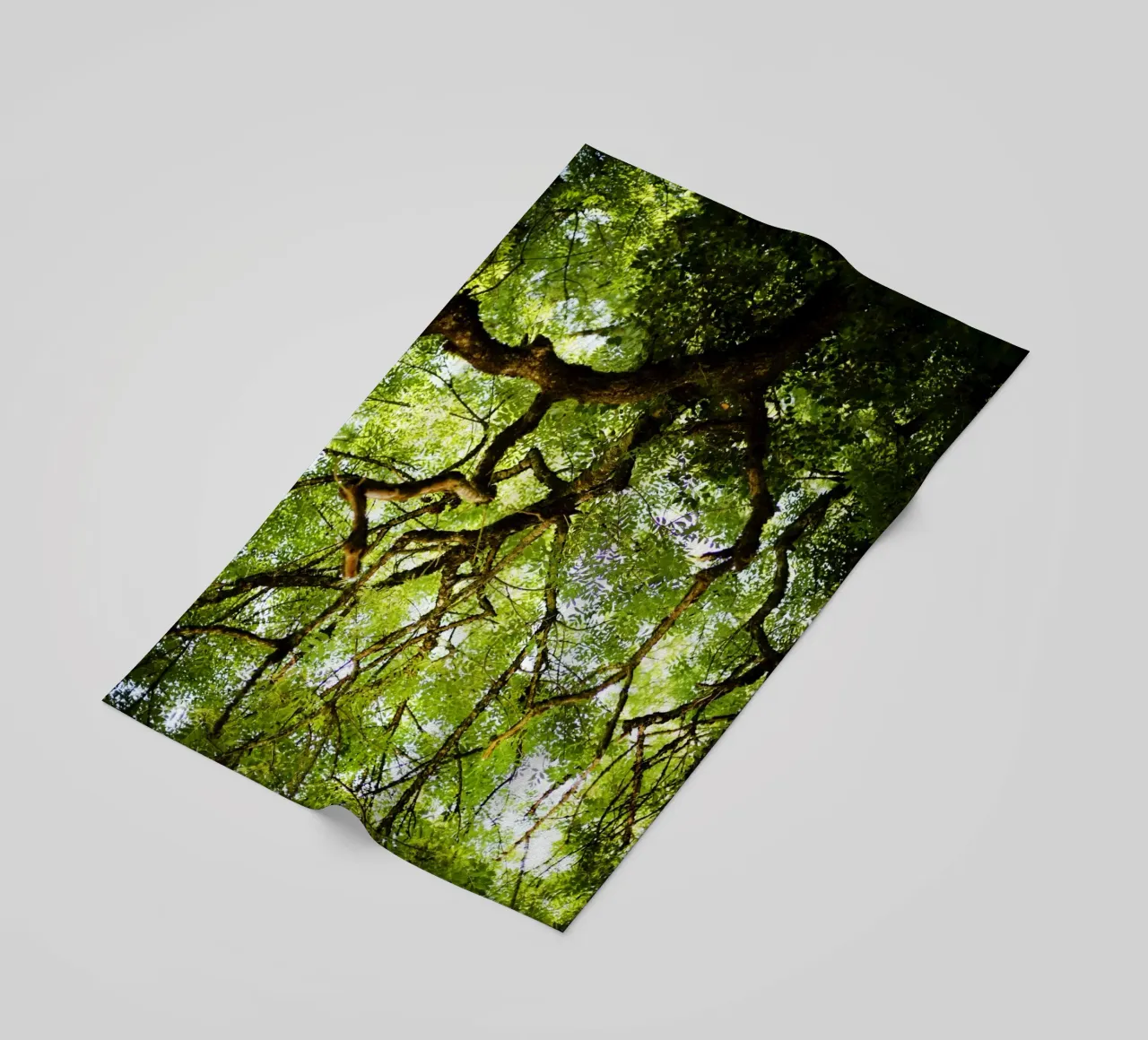 Baum in Bourgogne - Franche Comté, Frankreich telo mare da Simon Koy