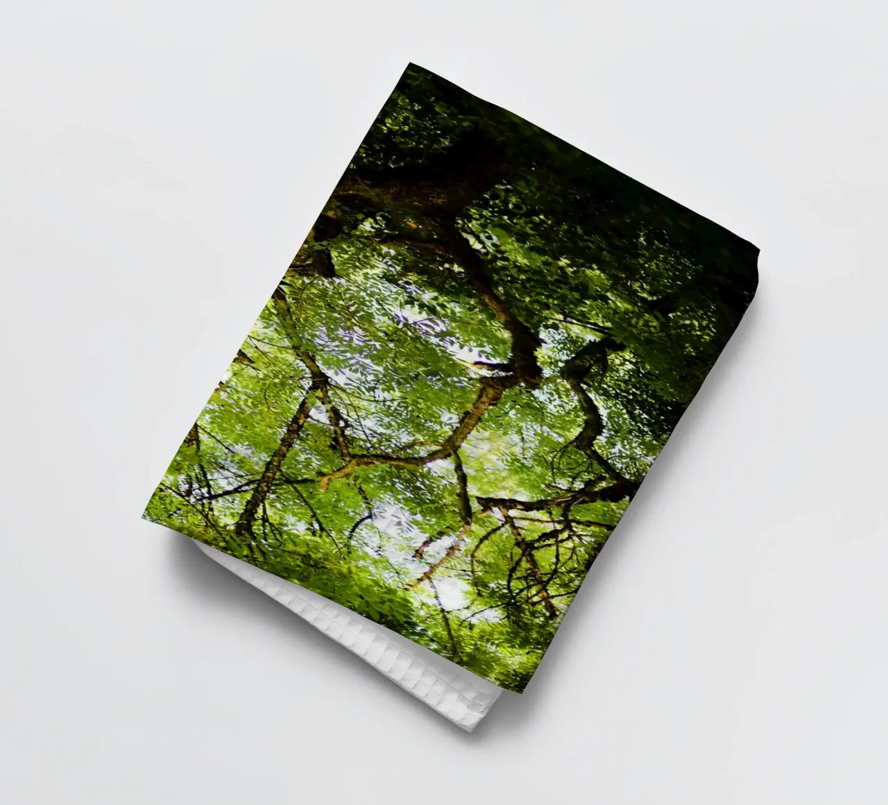 Baum in Bourgogne - Franche Comté, Frankreich canovaccio da cucina da Simon Koy