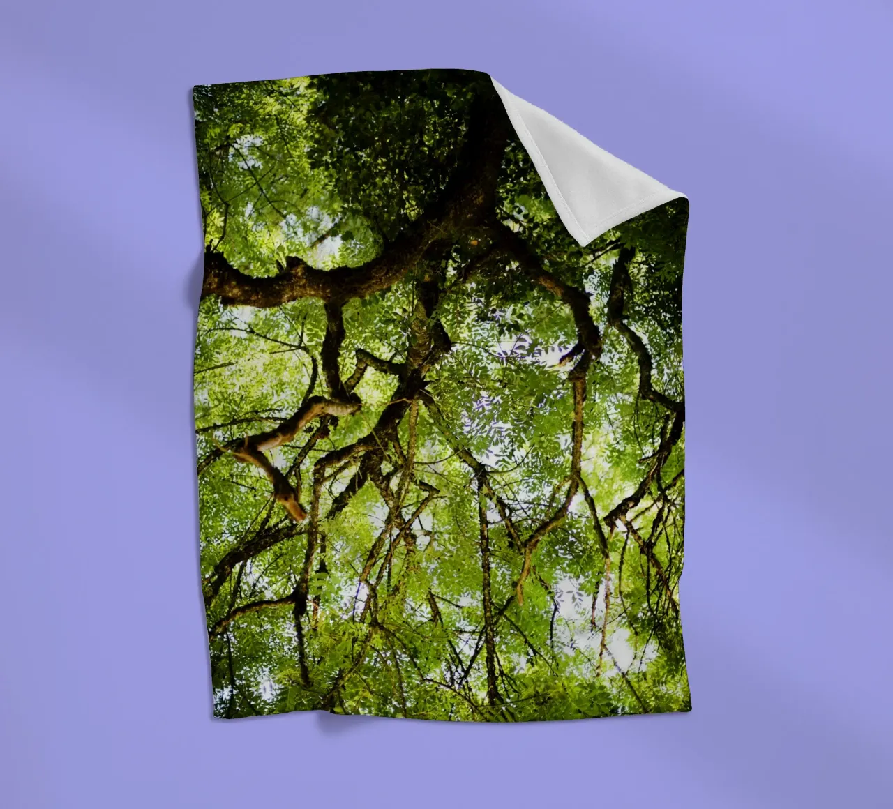 Baum in Bourgogne - Franche Comté, Frankreich plaid polaire de fotokunst