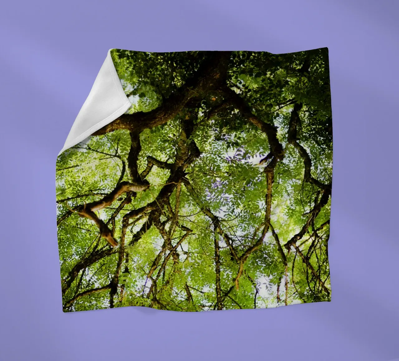 Baum in Bourgogne - Franche Comté, Frankreich plaid polaire de fotokunst