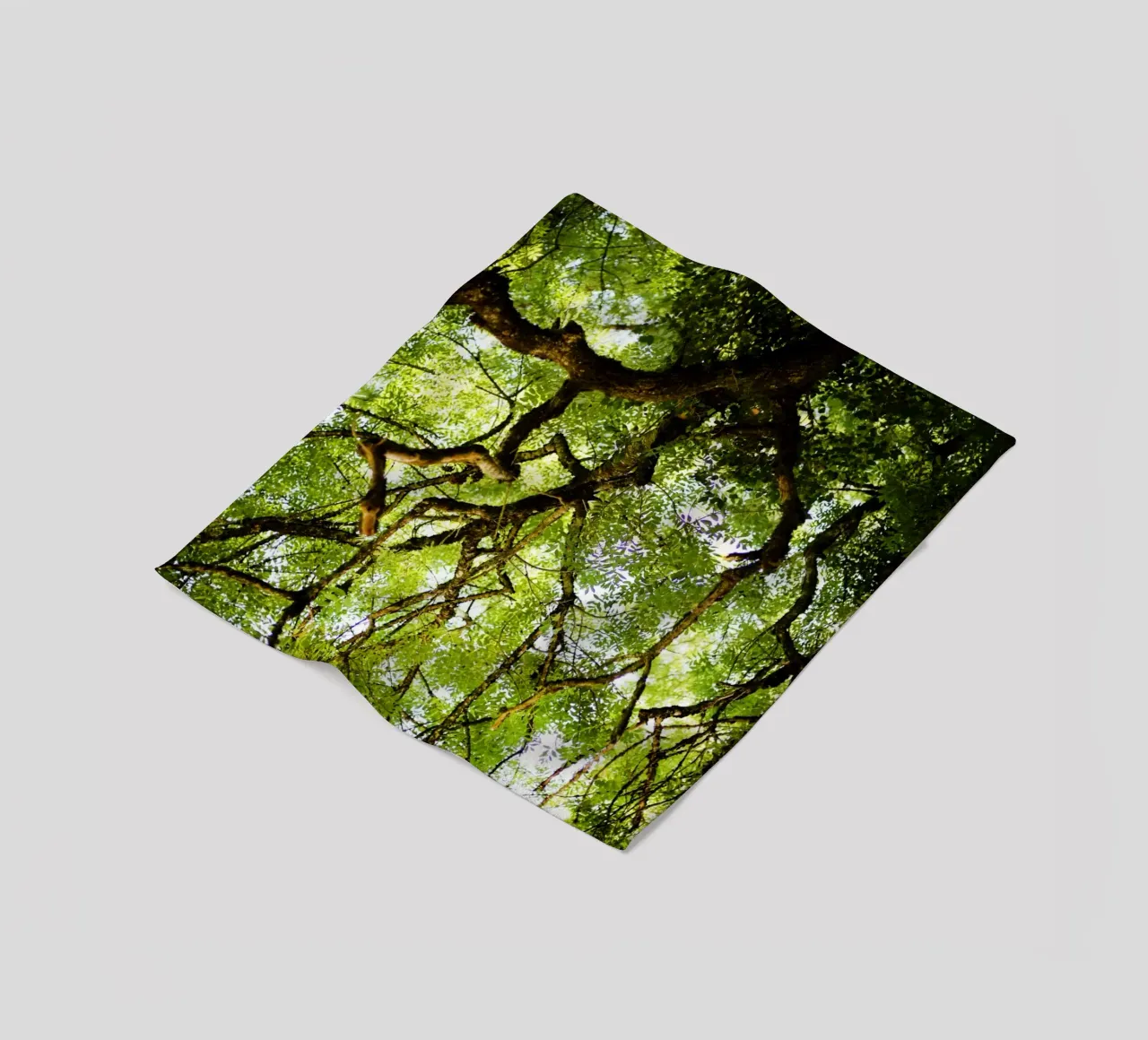 Baum in Bourgogne - Franche Comté, Frankreich plaid polaire de fotokunst