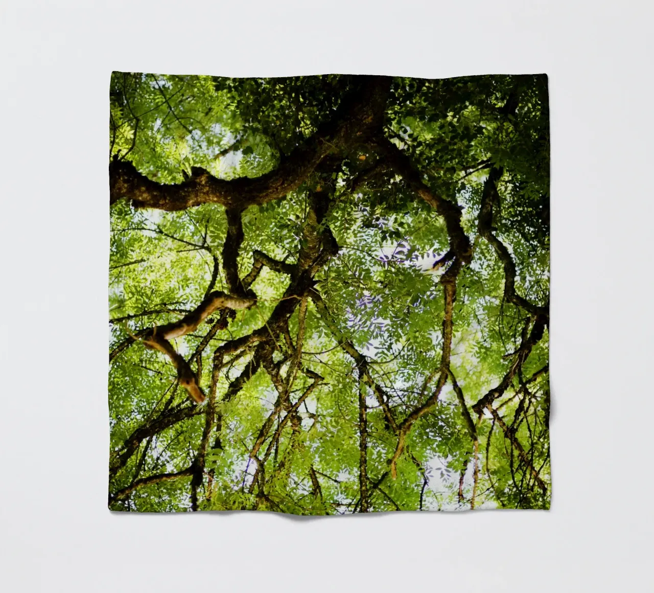 Baum in Bourgogne - Franche Comté, Frankreich plaid polaire de fotokunst