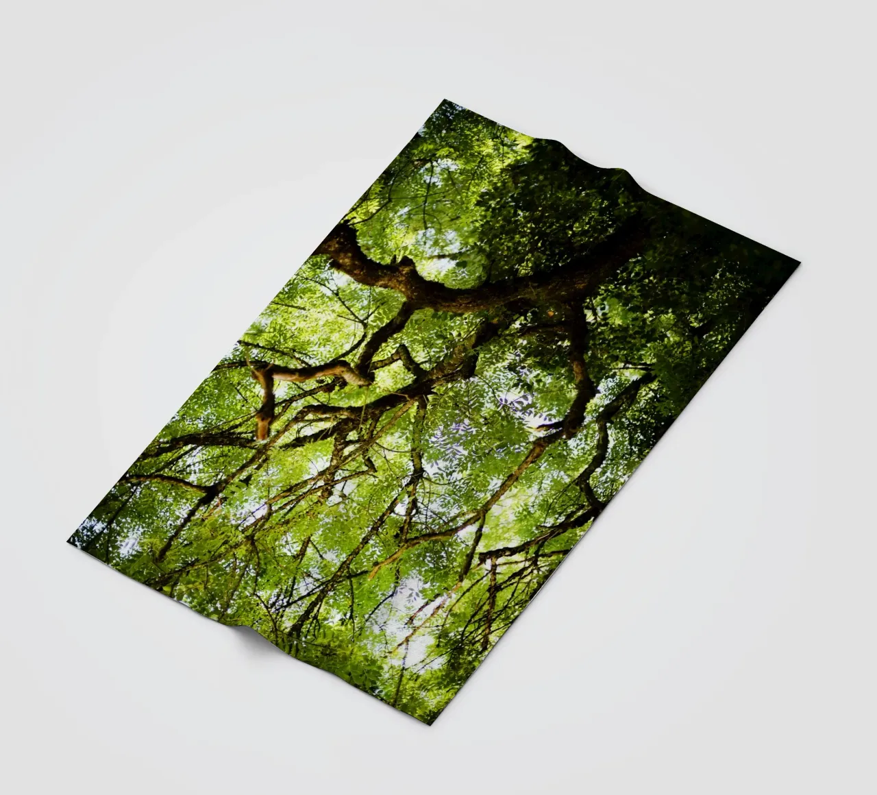 Baum in Bourgogne - Franche Comté, Frankreich plaid polaire de fotokunst