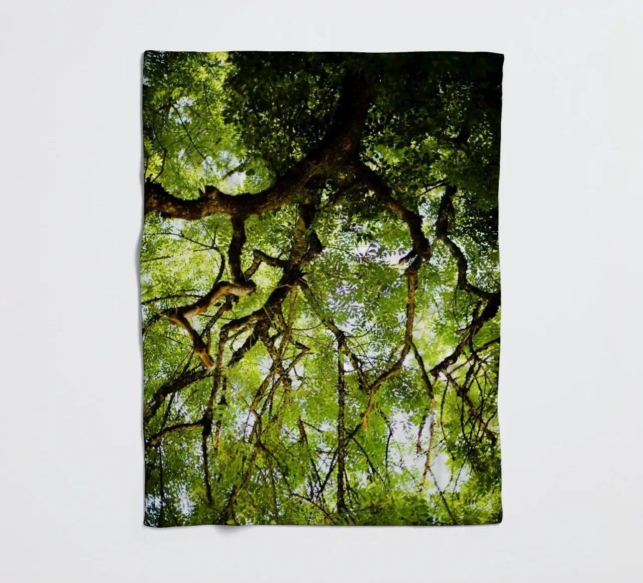 Baum in Bourgogne - Franche Comté, Frankreich plaid polaire de fotokunst