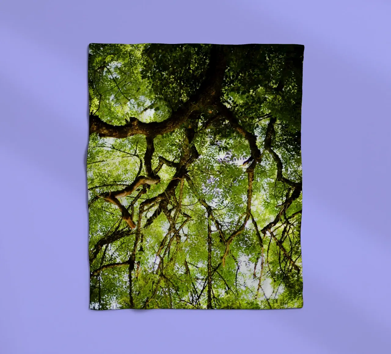 Baum in Bourgogne - Franche Comté, Frankreich plaid polaire de fotokunst